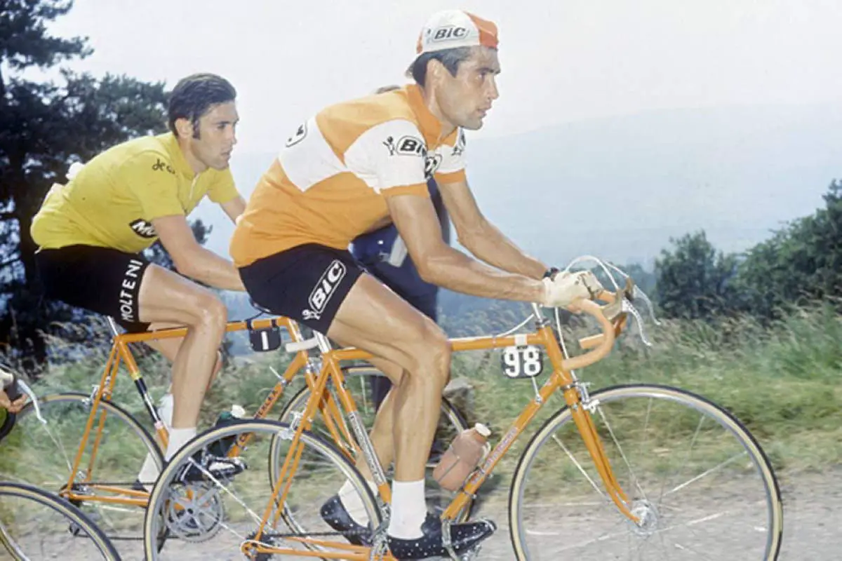 Brand New Team Molteni Yellow Cycling jersey Tour De France Eddy Merckx