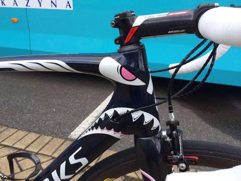 Vincenzo Nibali's Specialized S-Works Tarmac-Shark bike - head tube - 2