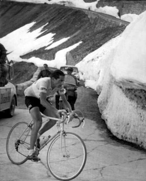 Fausto Coppi on Stelvio, 1953 Giro d'Italia