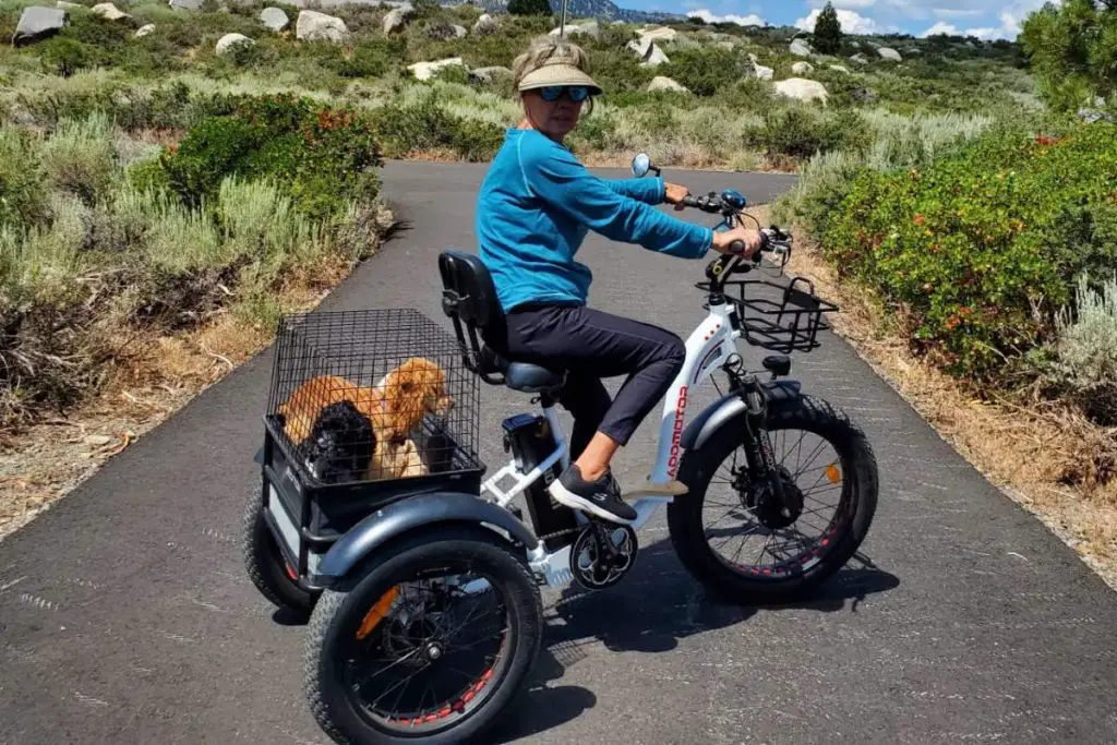 An electric fat tire trike with pets