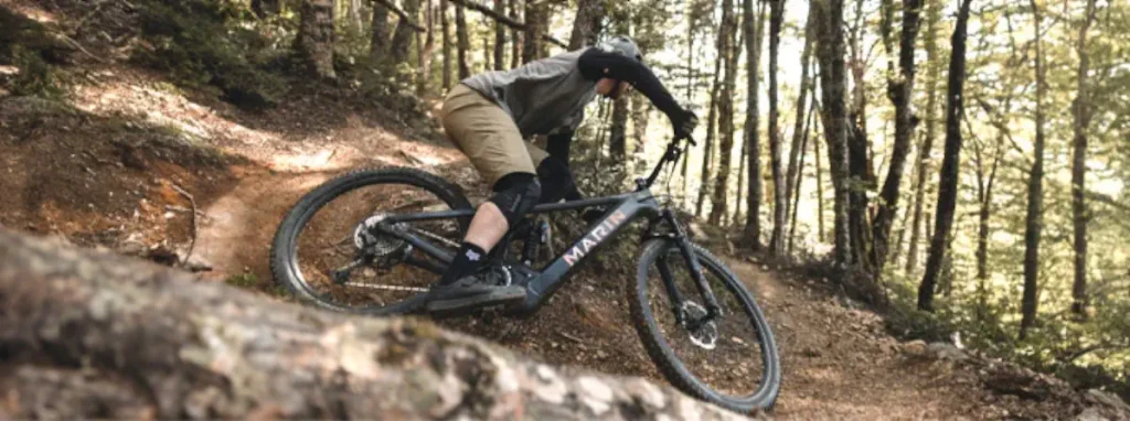 BikesOnline Carlsbad e-bike